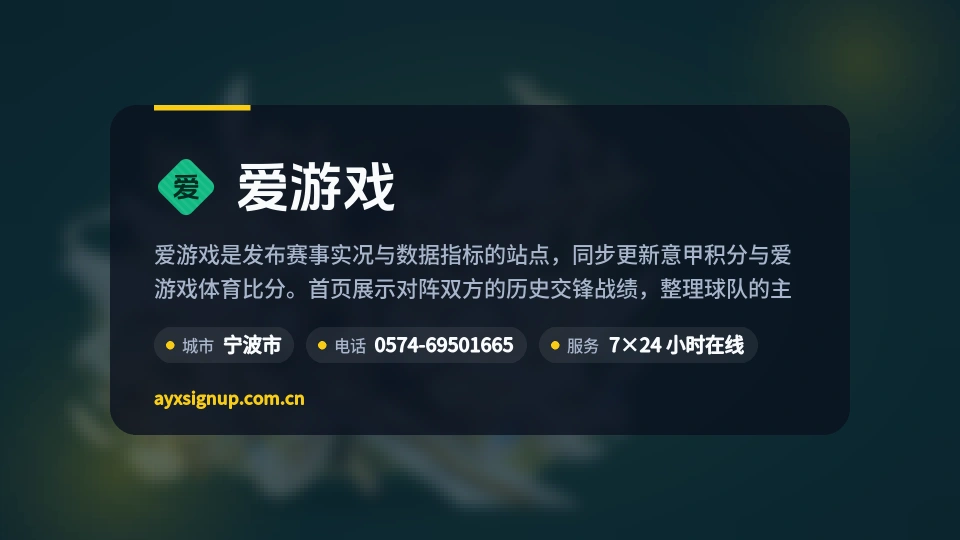 爱游戏介绍